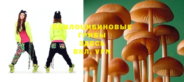 первитин Абинск