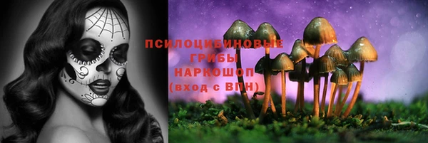 первитин Абинск