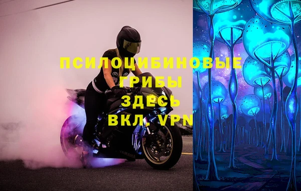 первитин Абинск