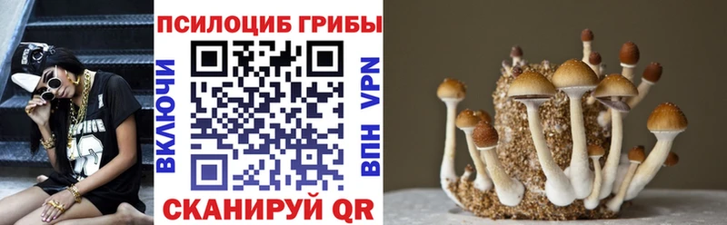 Псилоцибиновые грибы ЛСД  KRAKEN как войти  Красково 